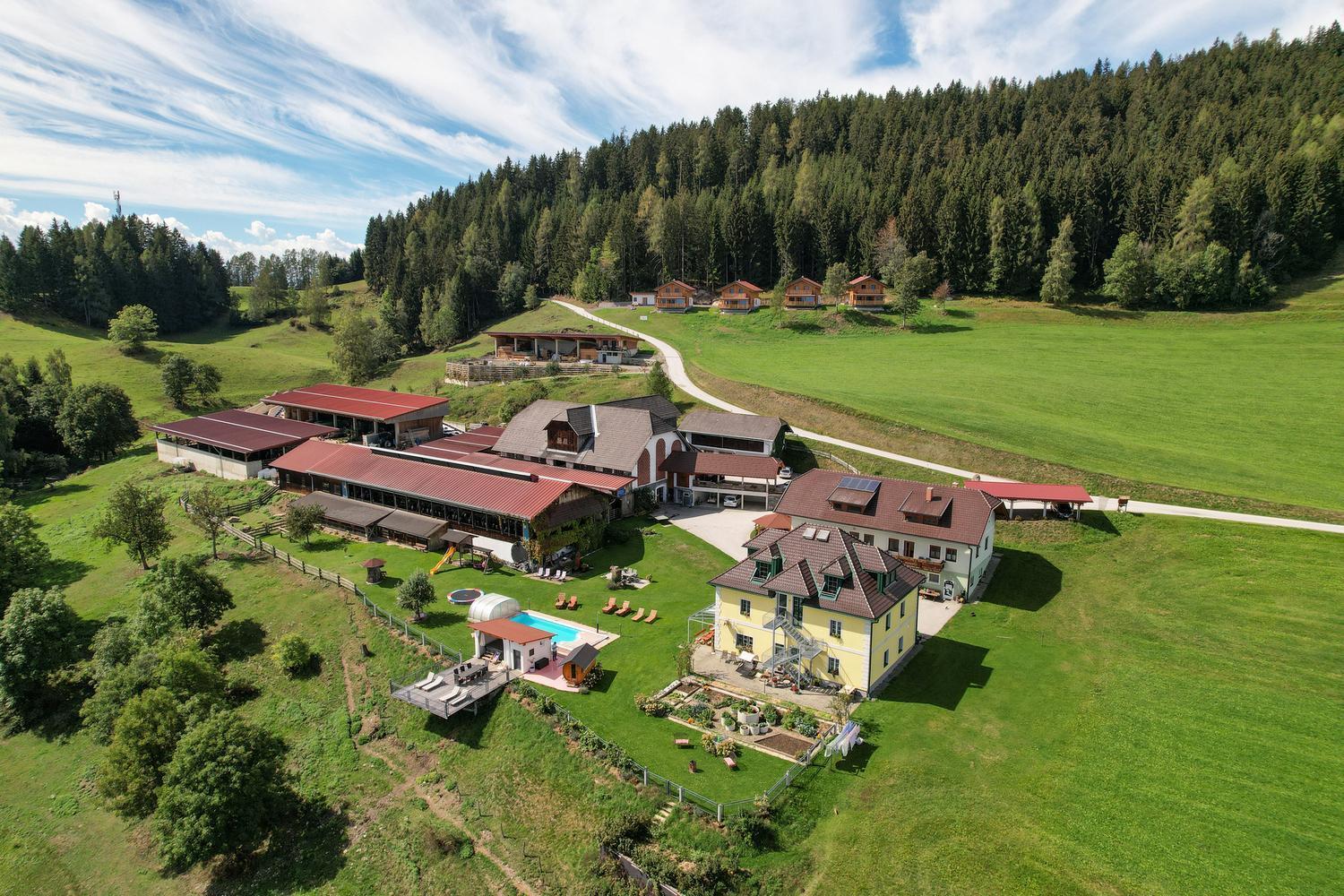 Erlebnisbauernhof Steinerhof In Kaernten Liebenfels Exterior foto