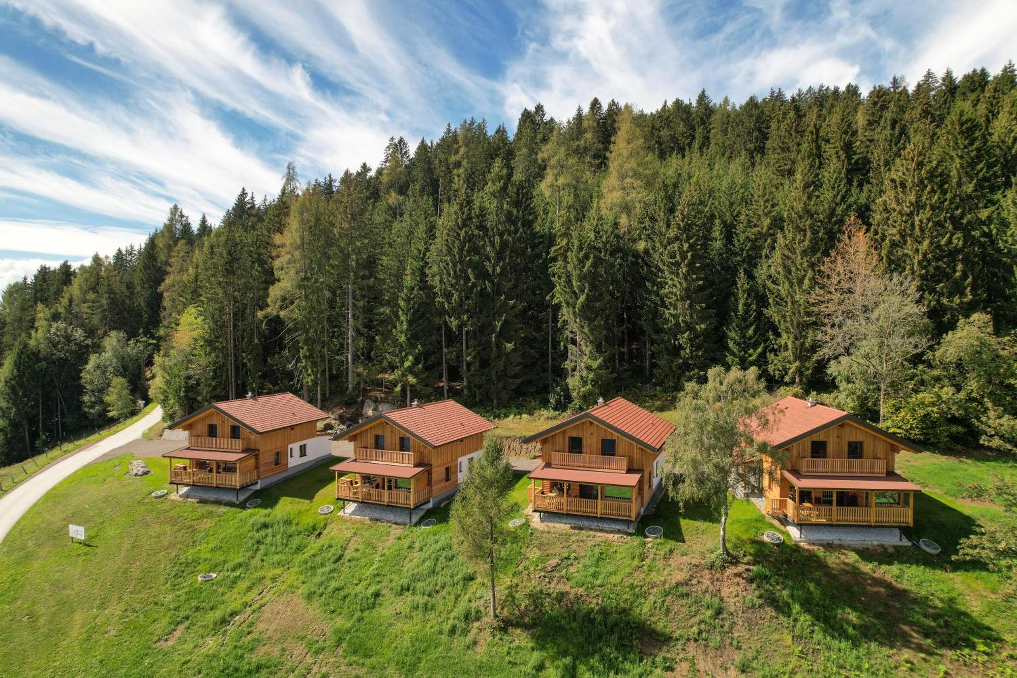 Erlebnisbauernhof Steinerhof In Kaernten Liebenfels Exterior foto